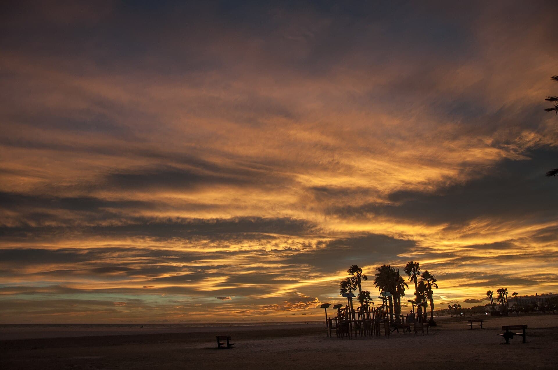 Golden sunset over palm trees on the beach at Coma-ruga, Costa Daurada